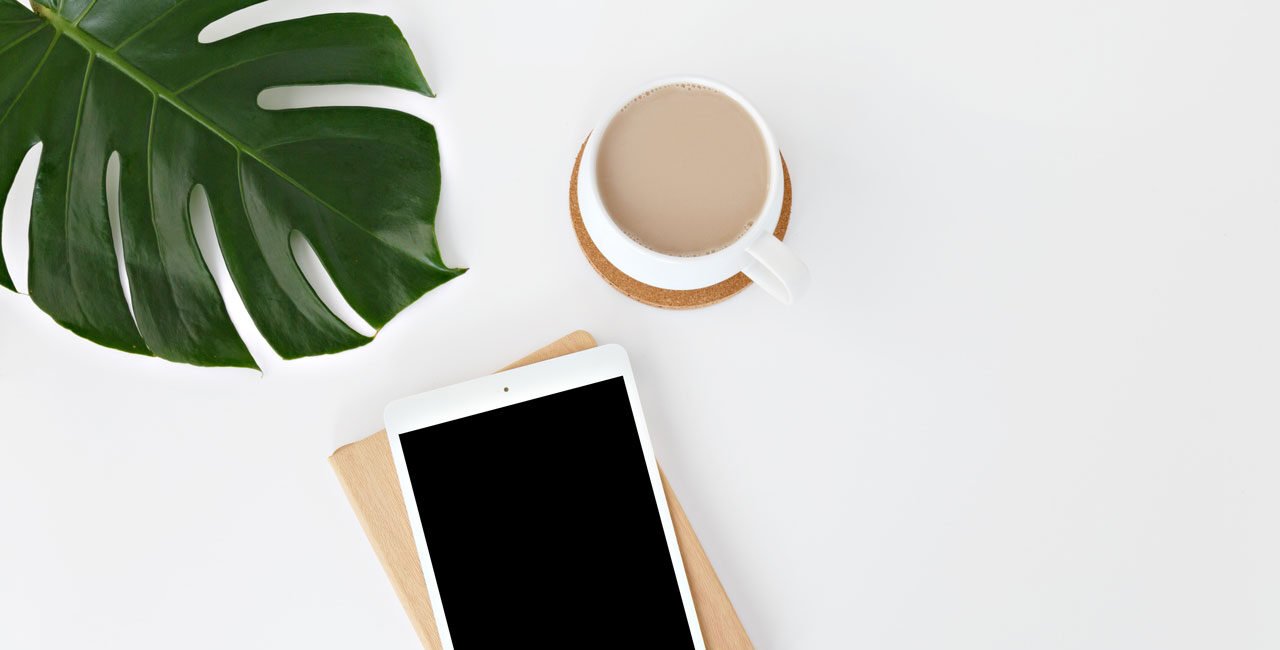 leone venter pVt9j3iWtPM unsplash